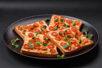 Delicious fresh toast or bruschetta with tomatoes, cheese, herbs, salt and spices