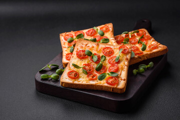 Delicious fresh toast or bruschetta with tomatoes, cheese, herbs, salt and spices