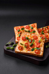 Delicious fresh toast or bruschetta with tomatoes, cheese, herbs, salt and spices