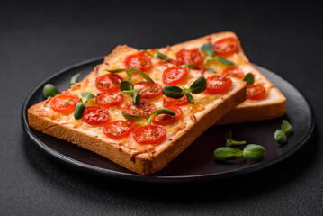 Delicious fresh toast or bruschetta with tomatoes, cheese, herbs, salt and spices