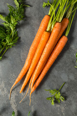 Organic Raw Orange Carrots
