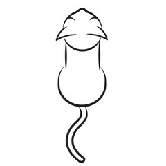 silhouette of cat icon isolated on white