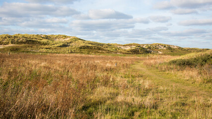 Dry grassy landscape with a few clouds and light dunes in the background