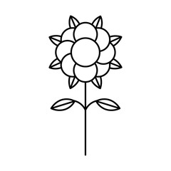 PNG image icon of flowers in lines with transparent background