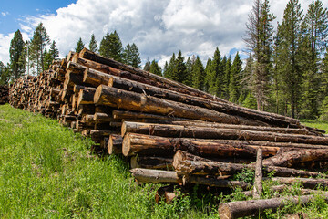 Logging Operations