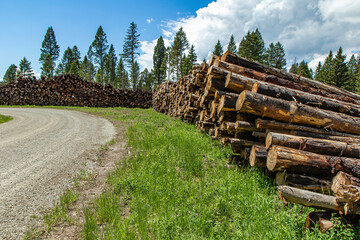 Logging Operations