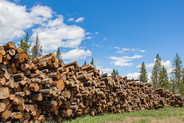 Logging Operations
