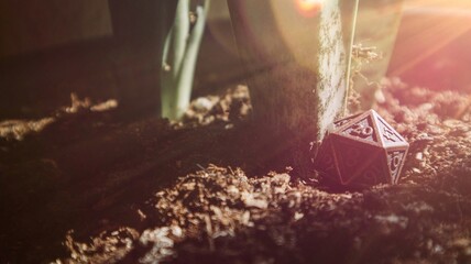 DnD Dice in Garden Sunbeam