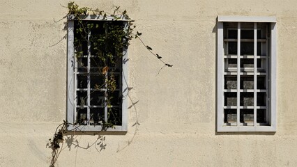 rustic windows in facade as background