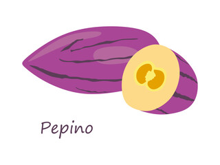 Pepino fruit in flat illustration. Pepino or Solanum muricatum fruit whole and half. Vector illustration