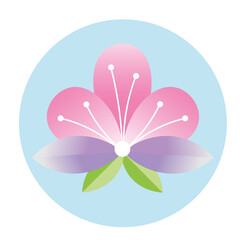 PNG image icon of a flower in a circle with transparent background