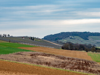Fototapeta na wymiar Hügelige Agrarlandschaft im Winter