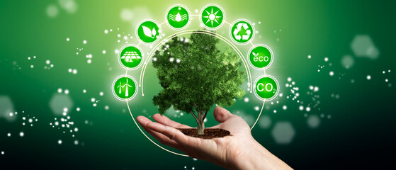 Man´s hands holding tree as energy efficiency concept. Renewable energy by 2050 Carbon neutral...