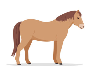 Horse icon. Farm domestic animal isolated on white background. Vector flat or cartoon illustration.