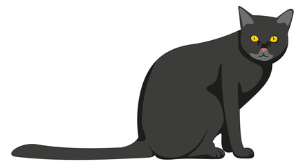 Black cat icon. Cartoon pet. Grumpy kitten