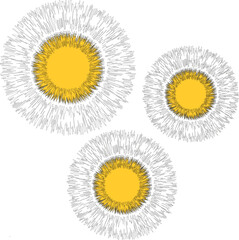 Vector drawing, dandelion on a white isolated background. Outline drawing, lines. Flowers from outlines. Yellow flowers.