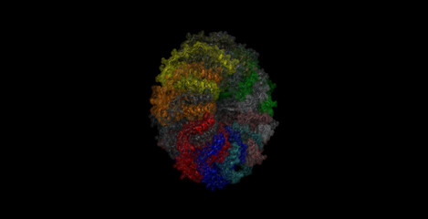 Human RAD52 DNA repair protein 3D molecule 4K