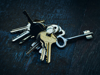On an old, shabby piece of plywood lies a bunch of unnecessary keys, the locks that opened these keys have long been lost, a still life of useless objects