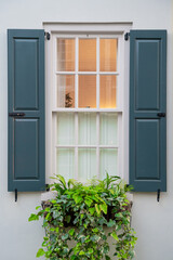 White window with black shutters and green shrubbery in front.