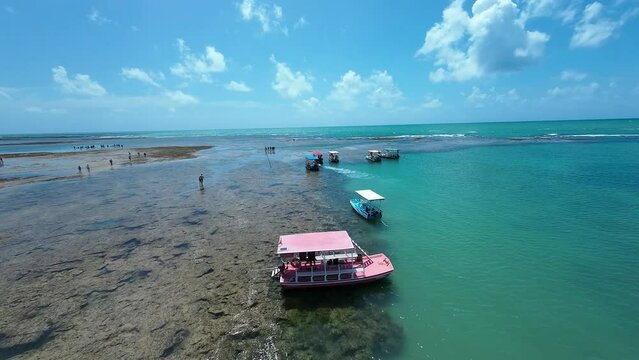 Patacho Natural Pools At Sao Miguel Dos Milagres In Alagoas Brazil. Coral Reef Bay Water. Nature Landscape. Paradisiac Scenery. Travel Destination. Sao Miguel Dos Milagres Alagoas. 
