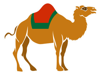 Arabian camel icon. Desert travel color animal