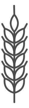 Natural grain ear symbol. Organic wheat line icon