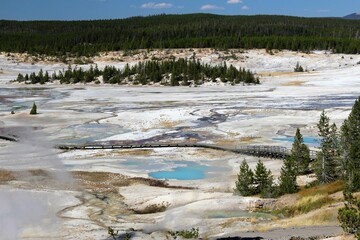 Yellowstone and the stunning scenic view. 