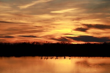 Obraz premium L'heure du couché pour les flamants 