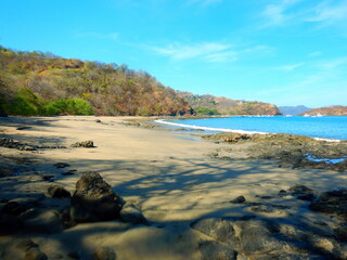 Costa Rica Pacific sea life