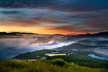 Fototapeta na wymiar The magical beauty of the pine forests on the hill hidden in fog and cloud in the early morning at Da Lat town. Dalat is one of the most beautiful and the most famous traveling place in Viet Nam.