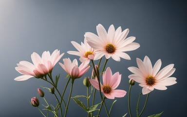 Fototapeta na wymiar Flowers, soft and beautiful macro shot, with a blurred gradient backdrop. Generative AI.