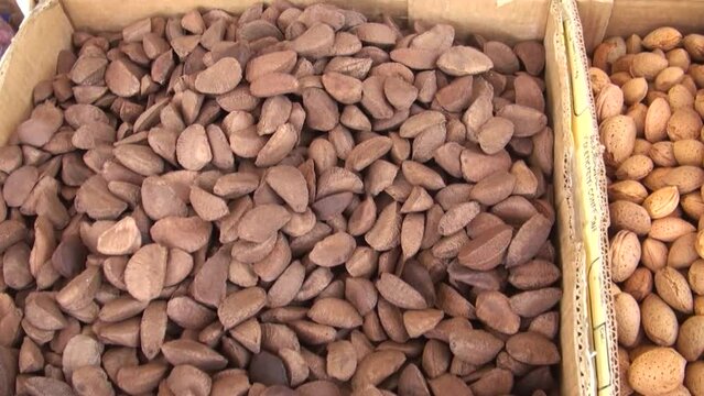 Close-up of nuts - natural source of vitamins