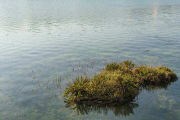 trozo de tierra con hierba verde rodeada de agua