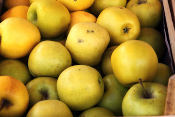 Fresh apples in the store
