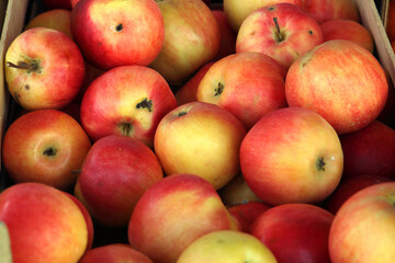 Fresh apples in the store