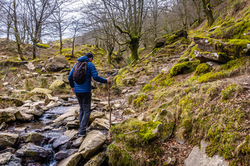 A man on the path through the beech woods on the ascent to Mount Adarra, in the Guipuzcoan...