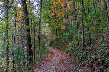 Hiking to the Lake on a Beautiful Autumn Afternoon, York County :Pennsylvania USA, Pennsylvania