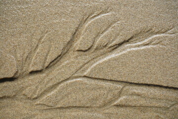 Fototapeta na wymiar Pattern in beach sand