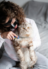 The day of home treatment. Cat care, woman combing british cat at home