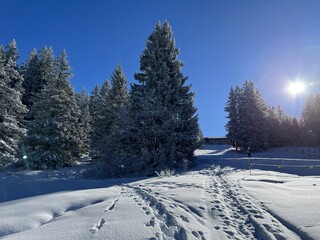 Wonderful winter hiking trails and traces after the winter snowfall above the tourist resorts of Valbella and Lenzerheide in the Swiss Alps - Canton of Grisons, Switzerland (Schweiz)