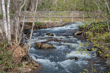 山奥の春の渓流
