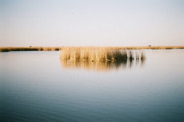 Calmo atardecer de un verano caluroso en la laguna de Monasterio provincia de Buenos Aires