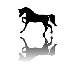silhouette of a horse vector eps 10