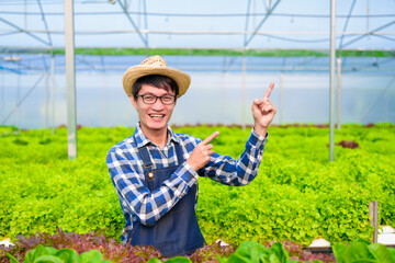 Young Asian smart farmer working with smart agriculture organic hydroponic vegetable greenhouse, Butterhead Lettuce, Green Oak, Red Oak for vegan salad.