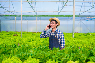 Naklejka na ściany i meble Young Asian smart farmer working with smart agriculture organic hydroponic vegetable greenhouse, Butterhead Lettuce, Green Oak, Red Oak for vegan salad.