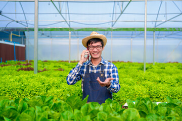 Young Asian smart farmer working with smart agriculture organic hydroponic vegetable greenhouse, Butterhead Lettuce, Green Oak, Red Oak for vegan salad.