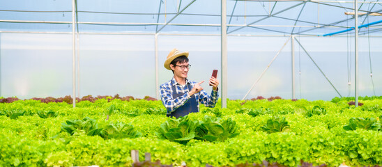 Young Asian smart farmer working with smart agriculture organic hydroponic vegetable greenhouse,...