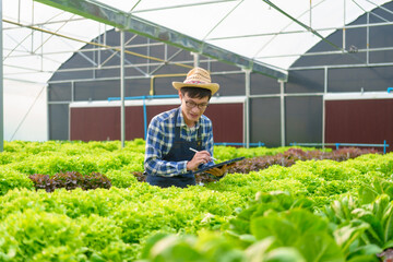 Young Asian smart farmer working with smart agriculture organic hydroponic vegetable greenhouse, Butterhead Lettuce, Green Oak, Red Oak for vegan salad.