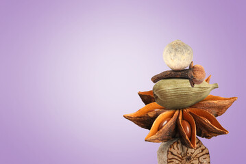 Stacked different aromatic spices on violet background, space for text
