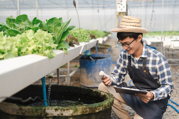 Young Asian smart farmer working in green oak hydroponic greenhouse, checking the balance of fertilizers in water and pesticide residues.